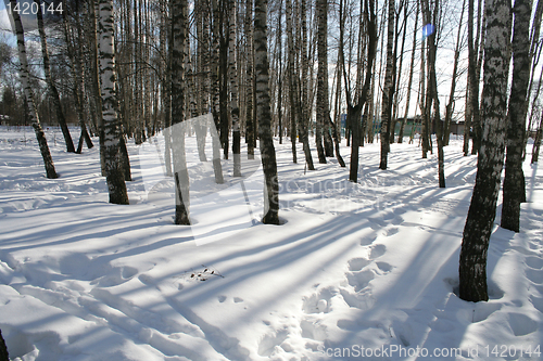 Image of park  landscape in winter 