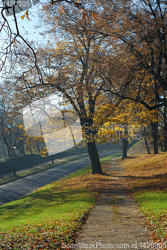 Image of Autumn morning