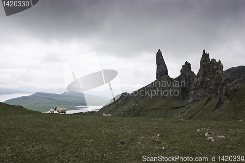 Image of Old Man of Storr