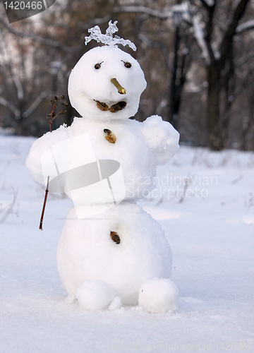 Image of snowman