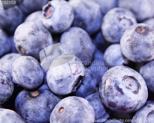 Image of Blueberries (Macro)
