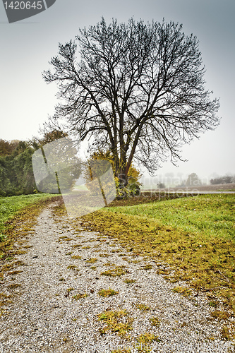 Image of autumn