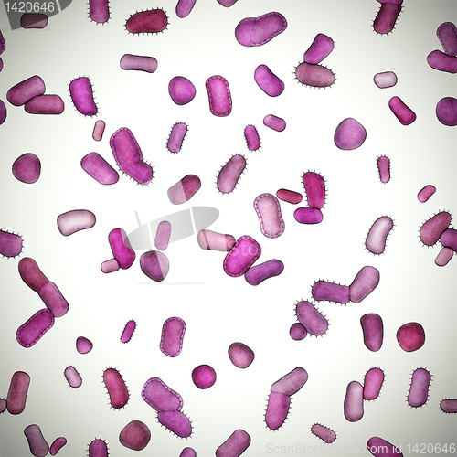 Image of bacteria