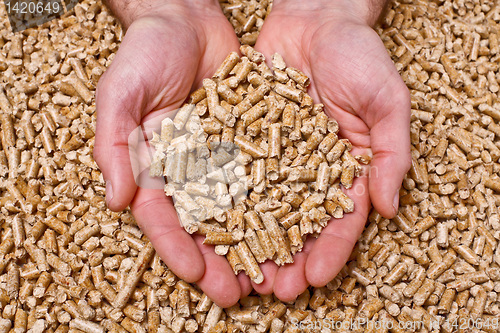 Image of wood pellet