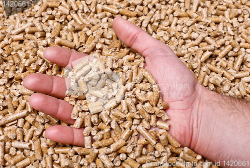 Image of wood pellet