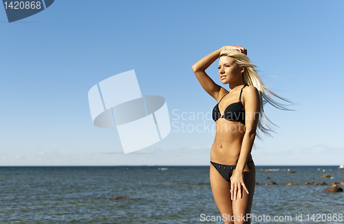 Image of girl in bikini posing on a rock near the sea