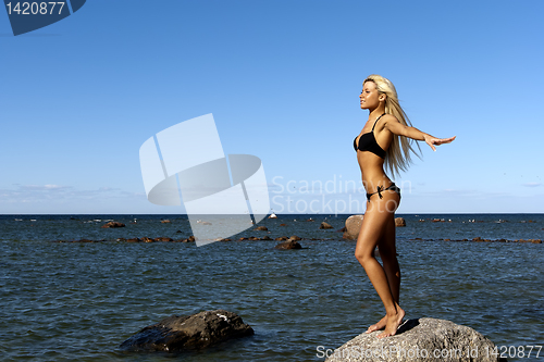 Image of girl in bikini posing on a rock near the sea