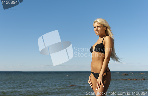 Image of girl in bikini posing on a rock near the sea