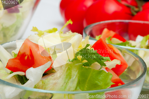 Image of Fresh Vegetable Salad