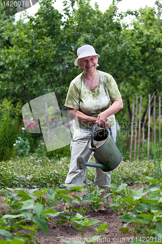 Image of Senior woman working in garden