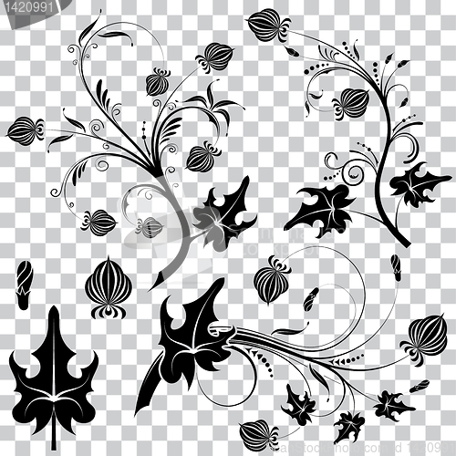 Image of Floral element