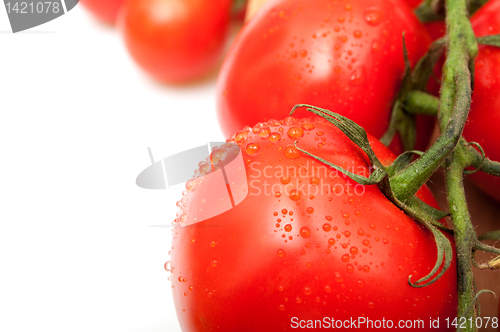 Image of Tomatoes