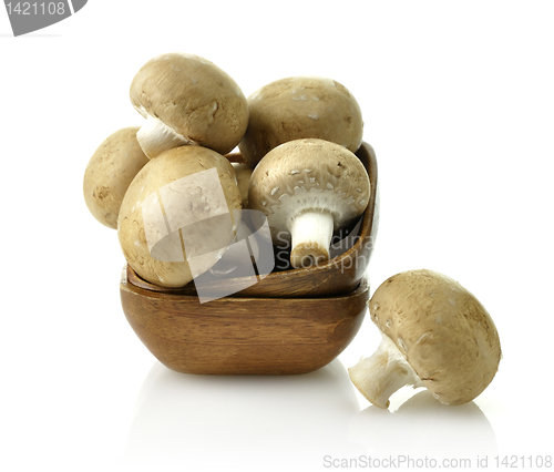 Image of Mushrooms