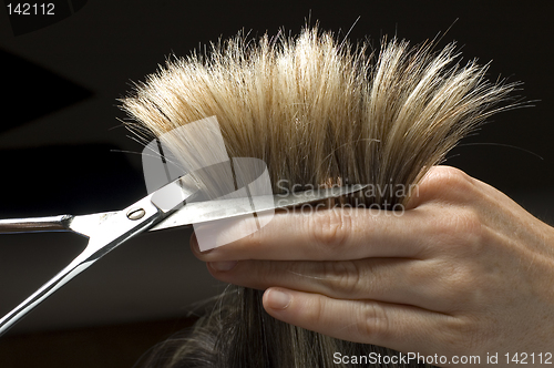 Image of cuttinghair