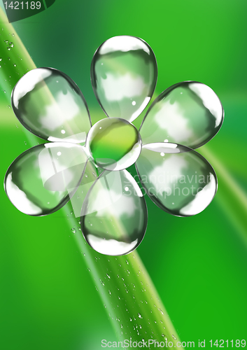 Image of Flower from water drops