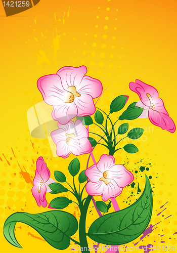 Image of Floral background