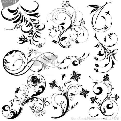 Image of Collect Floral element