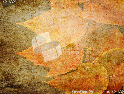 Image of Autumn Grunge Background