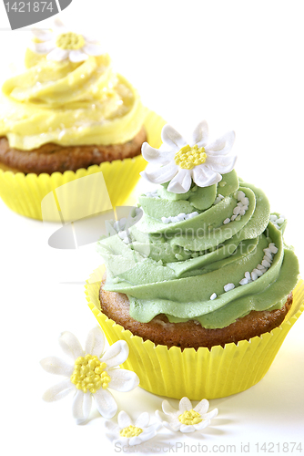 Image of Cupcakes