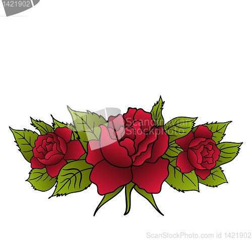 Image of beautiful red roses isolated