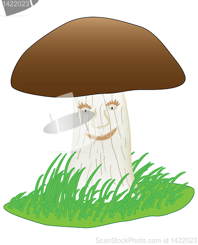 Image of mushroom