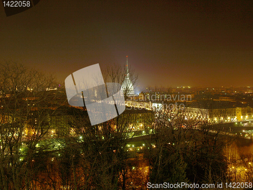 Image of Turin view