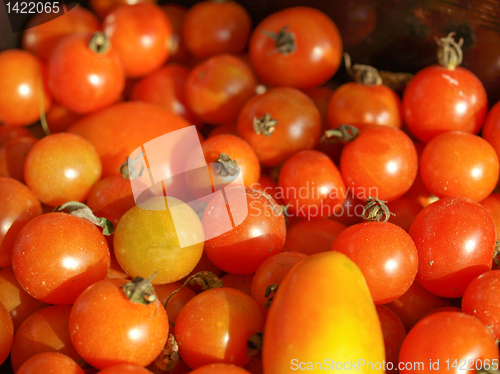 Image of Tomatoes picture