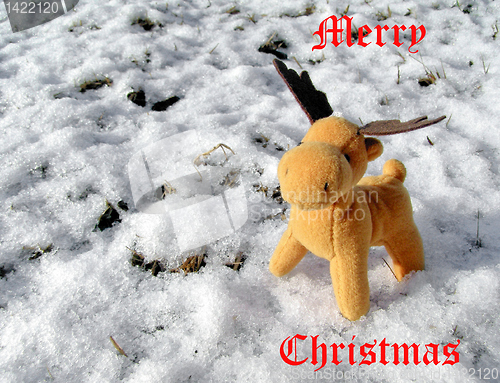 Image of Deer in snow greeting card