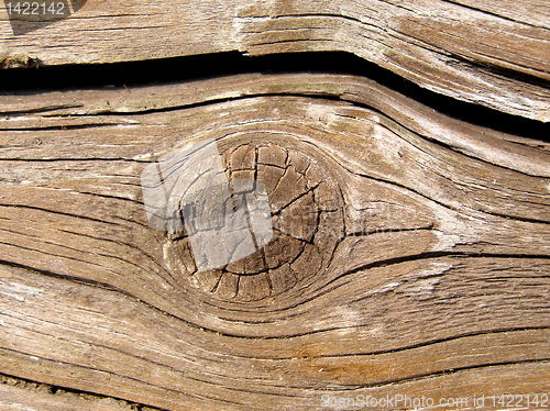 Image of Wood picture