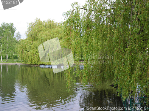 Image of Urban Park