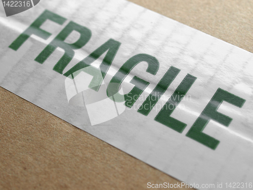 Image of Fragile