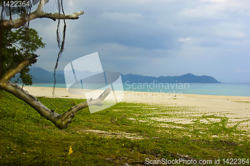 Image of Aurora Beach