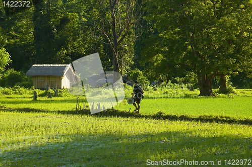 Image of Hiker