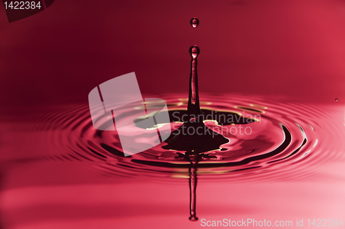 Image of Water Droplet