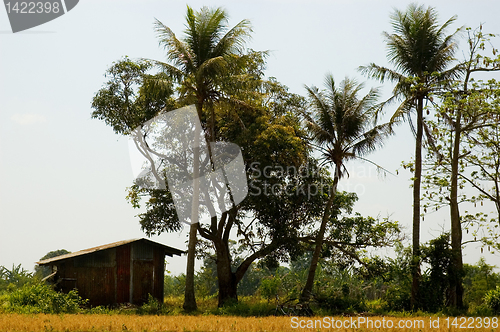 Image of Makeshift House