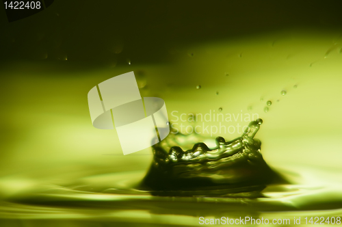 Image of Water Droplet