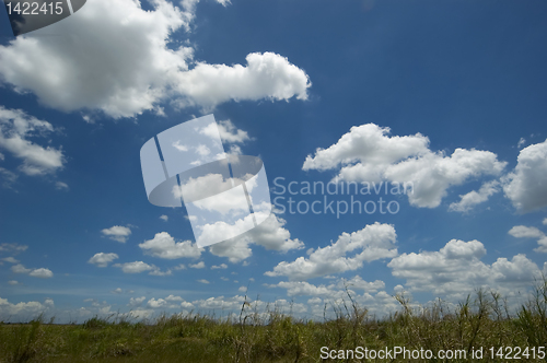 Image of Fluffy clouds