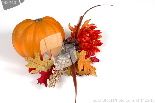 Image of Pumpkin in autumn setting