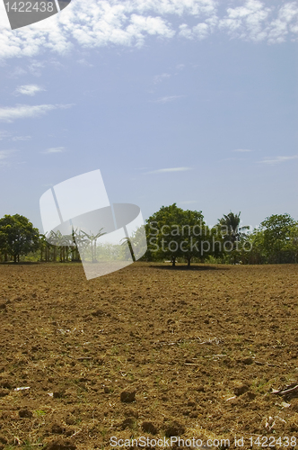 Image of Newly tilled soil