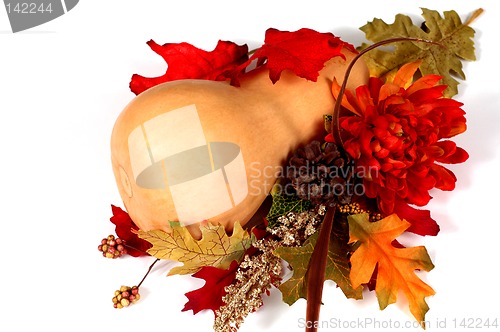 Image of Butternut squash in autumn setting
