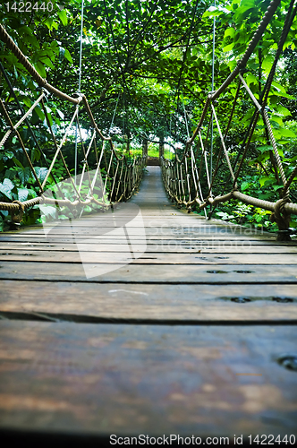 Image of Suspension Bridge