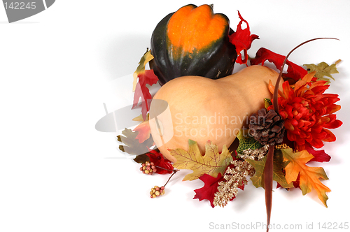 Image of Butternut and acorn squash in autumn setting