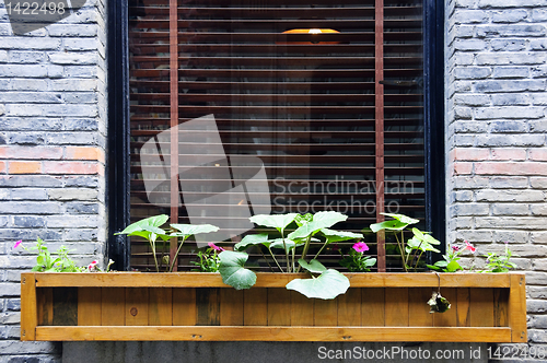 Image of Wooden flower box in window