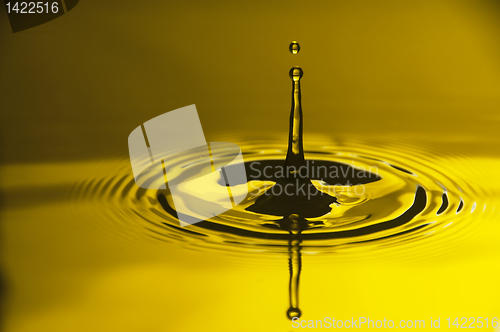 Image of Water Droplet