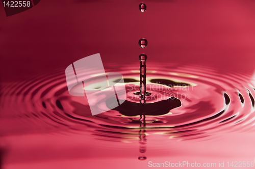 Image of Water Droplet