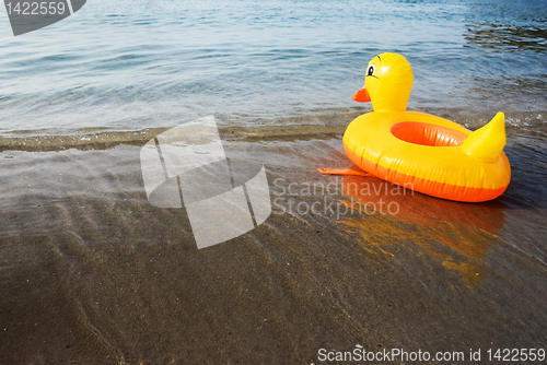 Image of Inflatable Duck