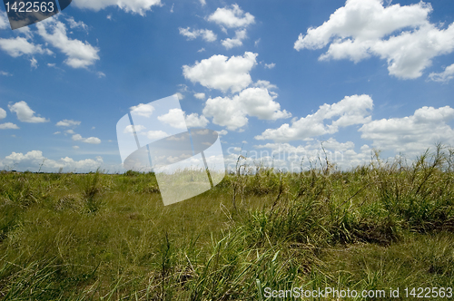 Image of Fluffy clouds