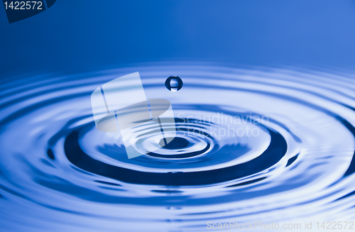 Image of Water Droplet