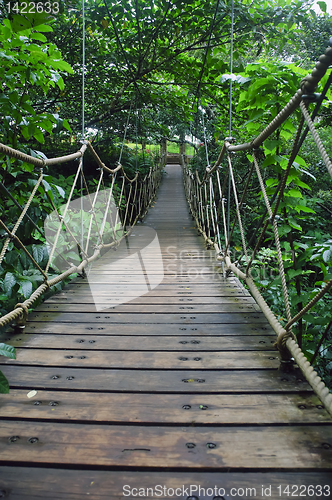 Image of Suspension Bridge