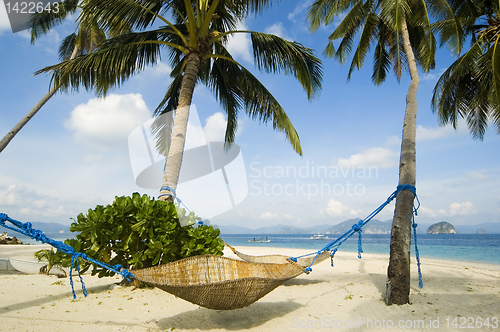 Image of Hammock